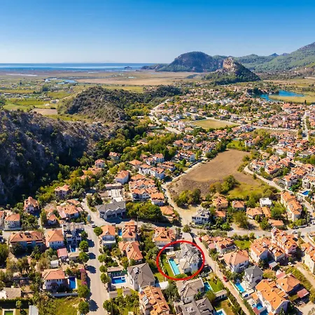 White Cloud * ダルヤン